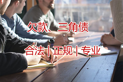 诉讼追偿款项何时可安排庭审？